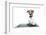 Dog Computer-Javier Brosch-Framed Photographic Print