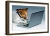 Dog Computer-Javier Brosch-Framed Photographic Print