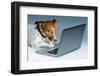 Dog Computer-Javier Brosch-Framed Photographic Print