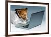 Dog Computer-Javier Brosch-Framed Photographic Print