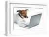 Dog Computer-Javier Brosch-Framed Photographic Print