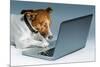 Dog Computer-Javier Brosch-Mounted Photographic Print