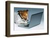 Dog Computer-Javier Brosch-Framed Photographic Print