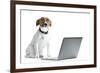 Dog Computer-Javier Brosch-Framed Photographic Print