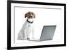 Dog Computer-Javier Brosch-Framed Photographic Print