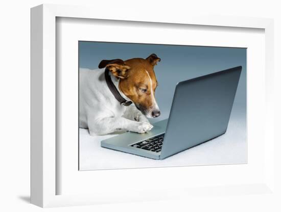 Dog Computer-Javier Brosch-Framed Photographic Print