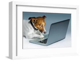 Dog Computer-Javier Brosch-Framed Photographic Print