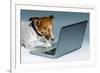 Dog Computer-Javier Brosch-Framed Photographic Print