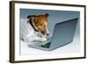 Dog Computer-Javier Brosch-Framed Photographic Print