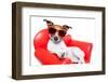 Dog Couch or Sofa-Javier Brosch-Framed Photographic Print
