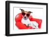 Dog Couch or Sofa-Javier Brosch-Framed Photographic Print