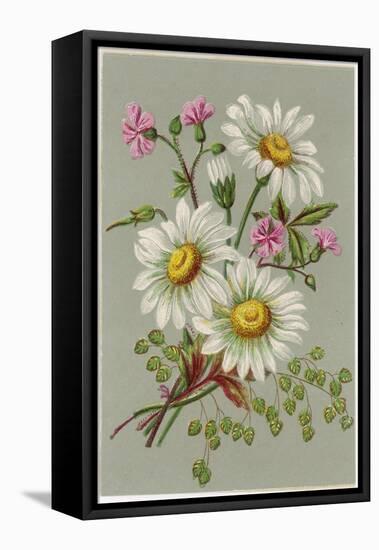 Dog Daisy-null-Framed Stretched Canvas