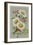 Dog Daisy-null-Framed Art Print