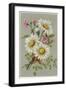 Dog Daisy-null-Framed Art Print