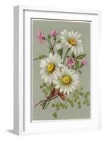 Dog Daisy-null-Framed Art Print