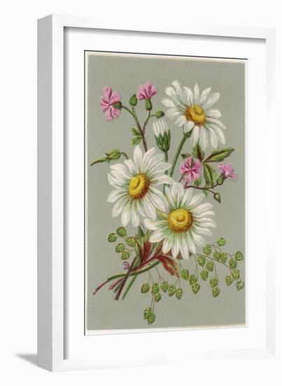 Dog Daisy-null-Framed Art Print