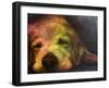 Dog Day Afternoon-Walt Johnson-Framed Art Print