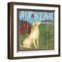 Dog Days I-Paul Brent-Framed Art Print