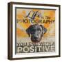 Dog days - Lab pup-null-Framed Giclee Print