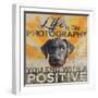 Dog days - Lab pup-null-Framed Giclee Print