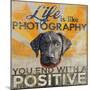 Dog days - Lab pup-null-Mounted Giclee Print