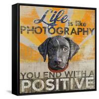 Dog days - Lab pup-null-Framed Stretched Canvas