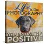 Dog days - Lab pup-null-Stretched Canvas