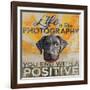 Dog days - Lab pup-null-Framed Giclee Print