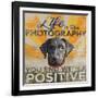 Dog days - Lab pup-null-Framed Giclee Print