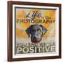 Dog days - Lab pup-null-Framed Giclee Print