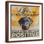 Brown Frame