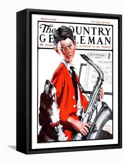"Dog Doesn't Like Sax Sounds," Country Gentleman Cover, March 28, 1925-William Meade Prince-Framed Stretched Canvas
