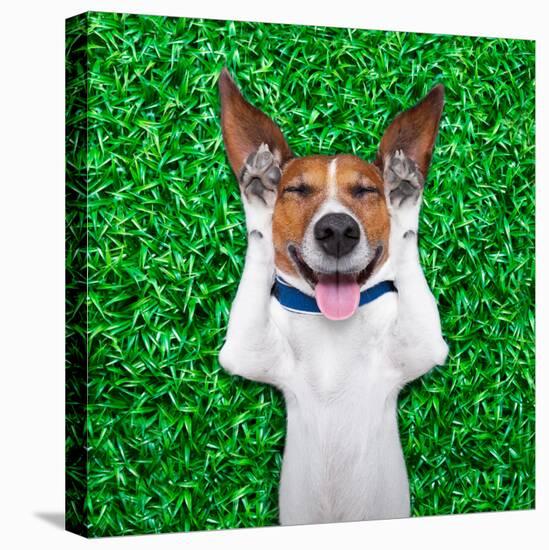 Dog Dreaming-Javier Brosch-Stretched Canvas