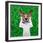 Dog Dreaming-Javier Brosch-Framed Photographic Print