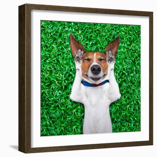 Dog Dreaming-Javier Brosch-Framed Photographic Print