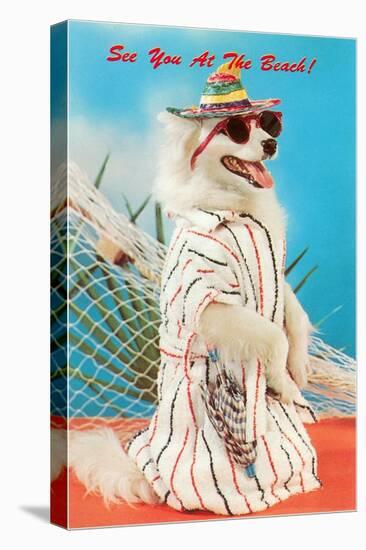 Dog Dressed in Beach Wear-null-Stretched Canvas