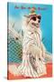 Dog Dressed in Beach Wear-null-Stretched Canvas