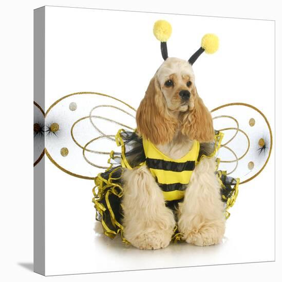 Dog Dressed Like A Bee - American Cocker Spaniel Wearing A Bumble Bee Costume-Willee Cole-Stretched Canvas