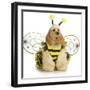 Dog Dressed Like A Bee - American Cocker Spaniel Wearing A Bumble Bee Costume-Willee Cole-Framed Photographic Print