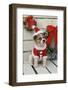 Dog Dressed Up as Santa Claus-null-Framed Photographic Print