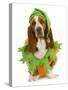 Dog Dressed Up for Halloween - Basset Hound Wearing Pumpkin Costume Sitting-Willee Cole-Stretched Canvas