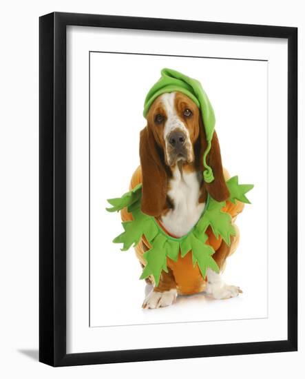 Dog Dressed Up for Halloween - Basset Hound Wearing Pumpkin Costume Sitting-Willee Cole-Framed Photographic Print