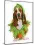 Dog Dressed Up for Halloween - Basset Hound Wearing Pumpkin Costume Sitting-Willee Cole-Mounted Photographic Print