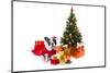 Dog Dressed Up in Santa Costume under Christmas Tree-Patryk Kosmider-Mounted Premium Photographic Print