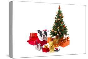 Dog Dressed Up in Santa Costume under Christmas Tree-Patryk Kosmider-Stretched Canvas