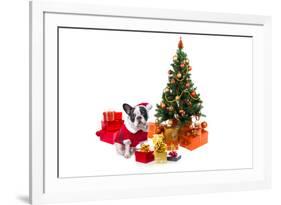 Dog Dressed Up in Santa Costume under Christmas Tree-Patryk Kosmider-Framed Photographic Print