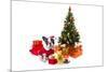 Dog Dressed Up in Santa Costume under Christmas Tree-Patryk Kosmider-Mounted Photographic Print