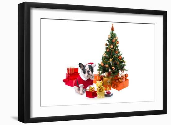 Dog Dressed Up in Santa Costume under Christmas Tree-Patryk Kosmider-Framed Photographic Print