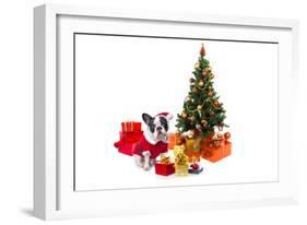 Dog Dressed Up in Santa Costume under Christmas Tree-Patryk Kosmider-Framed Photographic Print