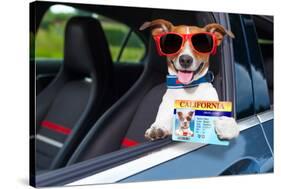 Dog Drivers License-Javier Brosch-Stretched Canvas